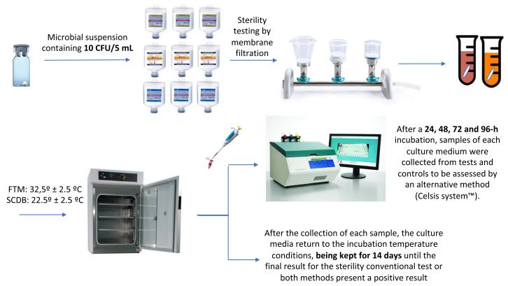 Fig 1. Graphical representation of the first experiment.