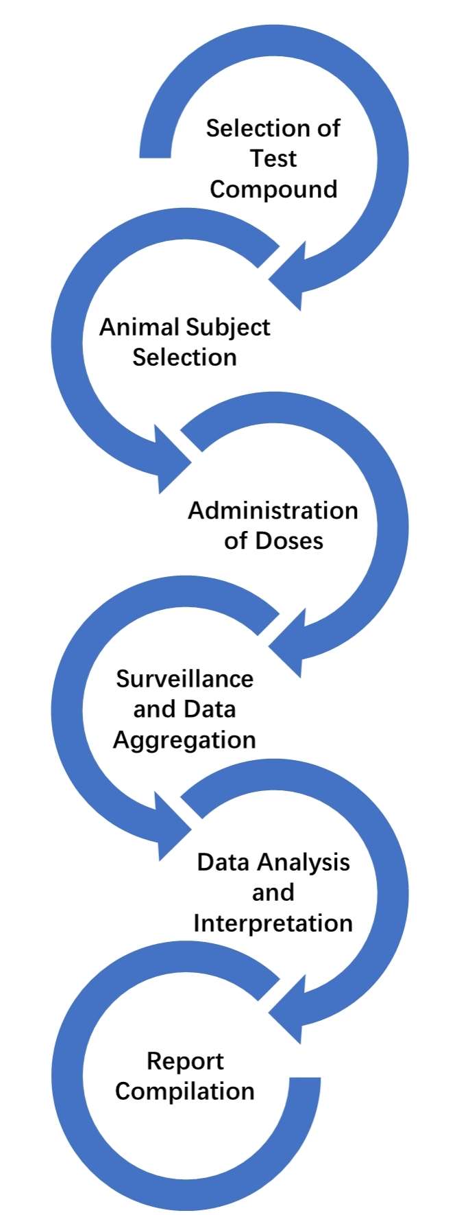 Abnormal Toxicity Testing Workflow