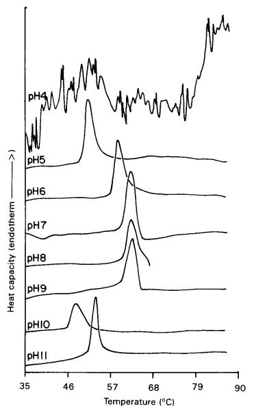 Fig 3. pH-Dependent change in DSC endothermic peak of bFGF.