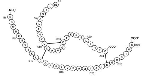 Fig 2. Structure of native and manufactured human relaxin.