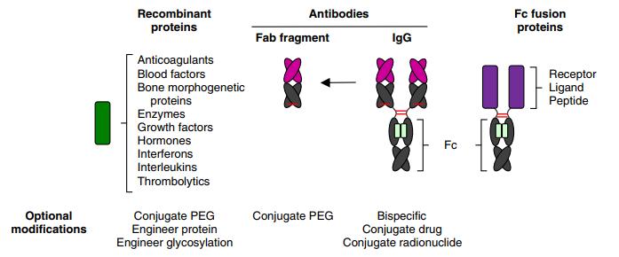 Fig 1. Overview of currently marketed protein therapeutics from a protein engineering perspective.