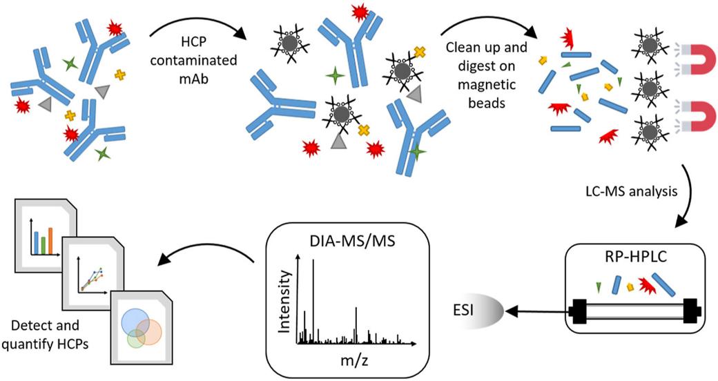 Fig 1. Detection and quantitation of host cell proteins in monoclonal antibody drug products.