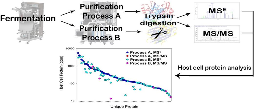 Fig 4. Host cell protein quantification of an optimized purification method by mass spectrometry.