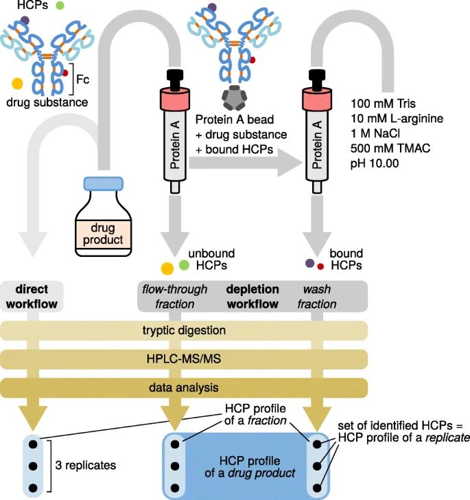 Fig 5. Schematic representation of the workflows used for HCP discovery in a drug product, which comprises a drug substance (i.e., the therapeutic protein) and minute amounts of HCPs.