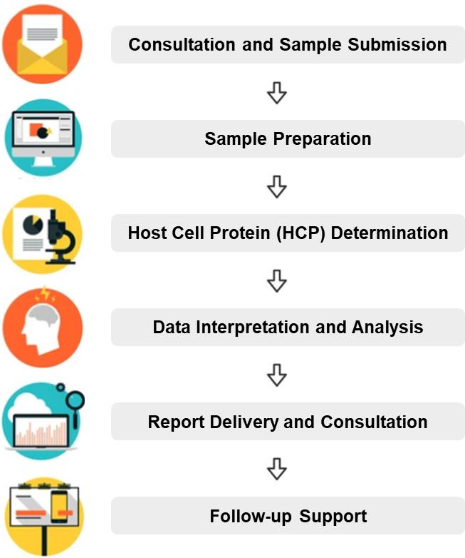 Service Process