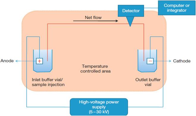 Fig 3. Basic capillary electrophoresis instrumentation.