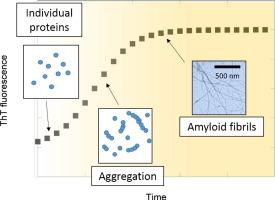 Fig 2. Agitation of amyloid proteins to speed aggregation measured by ThT fluorescence.