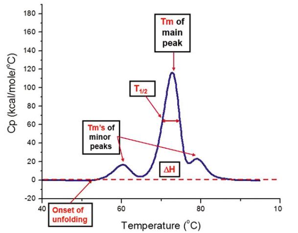 Fig 3. Buffer-subtracted and baseline-corrected DSC thermogram of a mAb protein with key stability metrics highlighted.