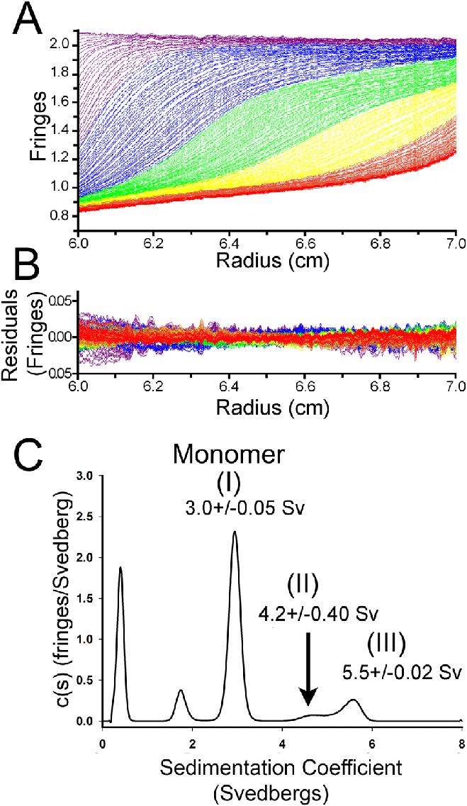 Fig 5. Sedimentation velocity analytical ultracentrifugation analysis of Spa47 oligomerization.