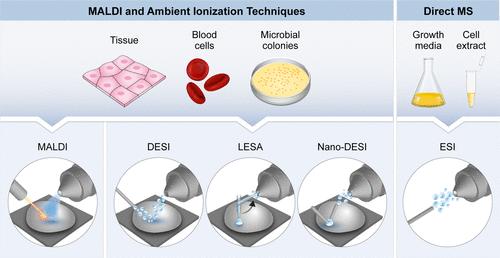 Fig 6. Scheme summarizing the various mass spectrometry ionization techniques for intact protein analysis from crude samples. 