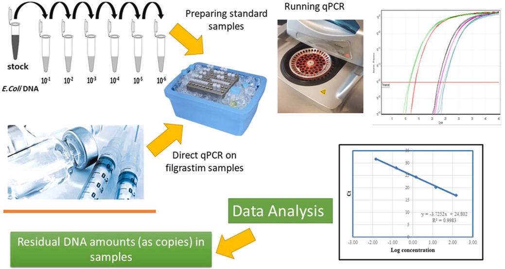 Fig 1. Direct quantitative detection of host cell residual DNA in recombinant Filgrastim by qPCR.