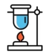 Enzyme-Linked Immunosorbent Assay (ELISA)