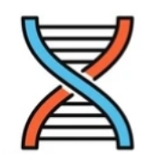 Capillary Electrophoresis (CE)