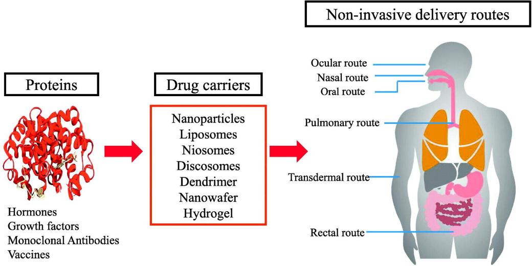 Fig 1. Recent Advancements in Non-Invasive Formulations for Protein Drug Delivery.