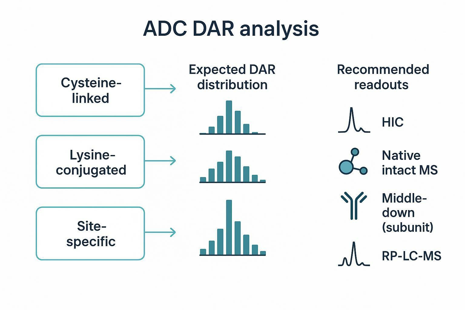A decision-map visual linking ADC modality (cysteine, lysine, site-specific) to expected DAR distributions and recommended analytical readouts