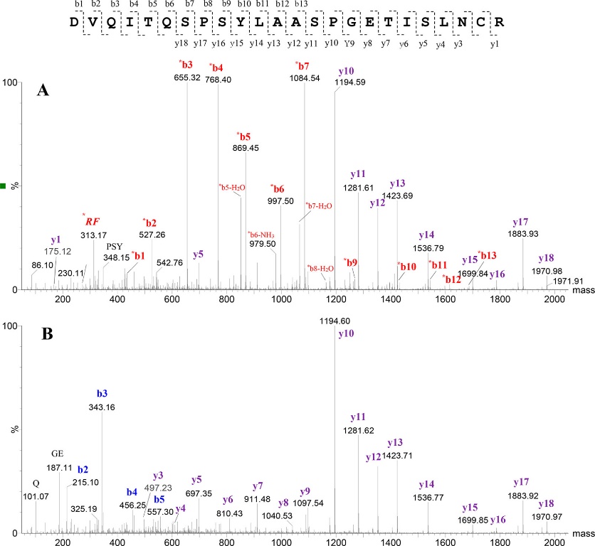 MS/MS analysis of the N-terminal for the light chain for mAb1