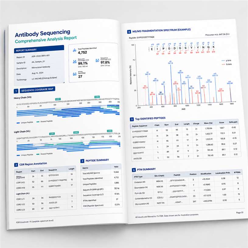 Example antibody sequencing report deliverables including sequence coverage and CDR annotation.