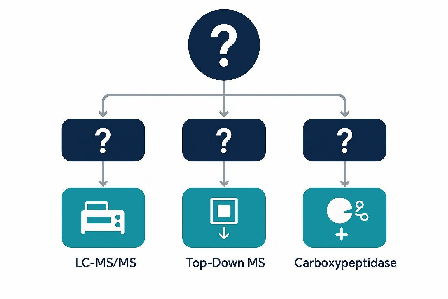 Decision-tree concept mapping C-terminus question types to LC-MS/MS, top-down MS, or carboxypeptidase, with orthogonal confirmation branches.