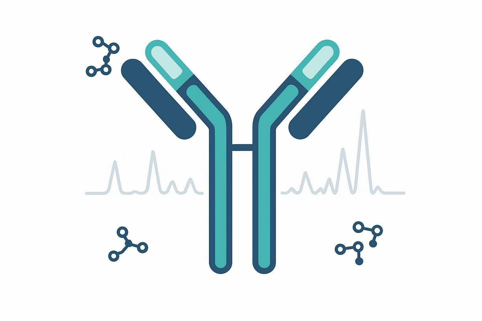 CDR Sequencing in High-Homology Antibodies: Strategies for Accurate Variant Differentiation