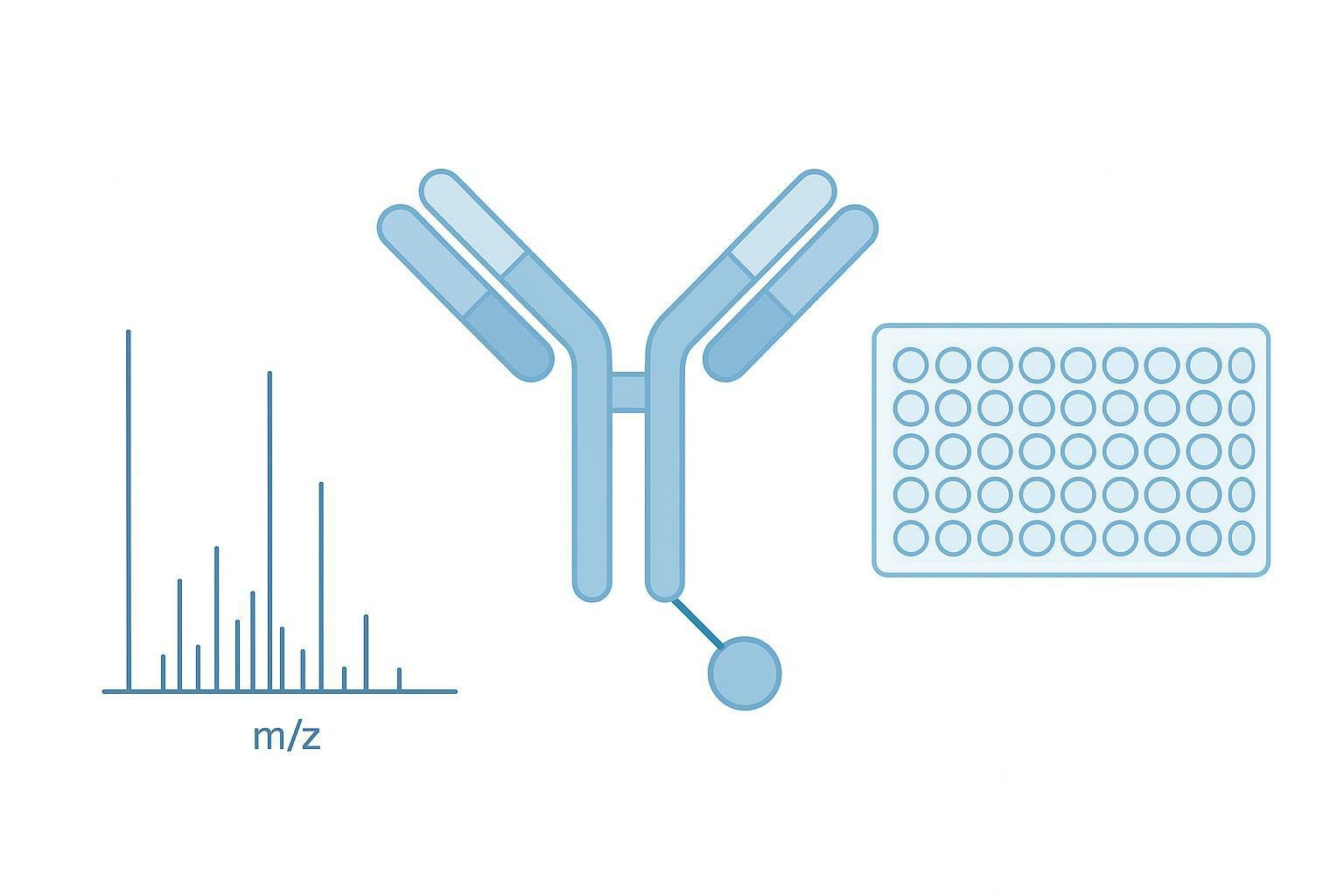 DAR Mapping in ADC Development: LC–MS/MS vs. ELISA