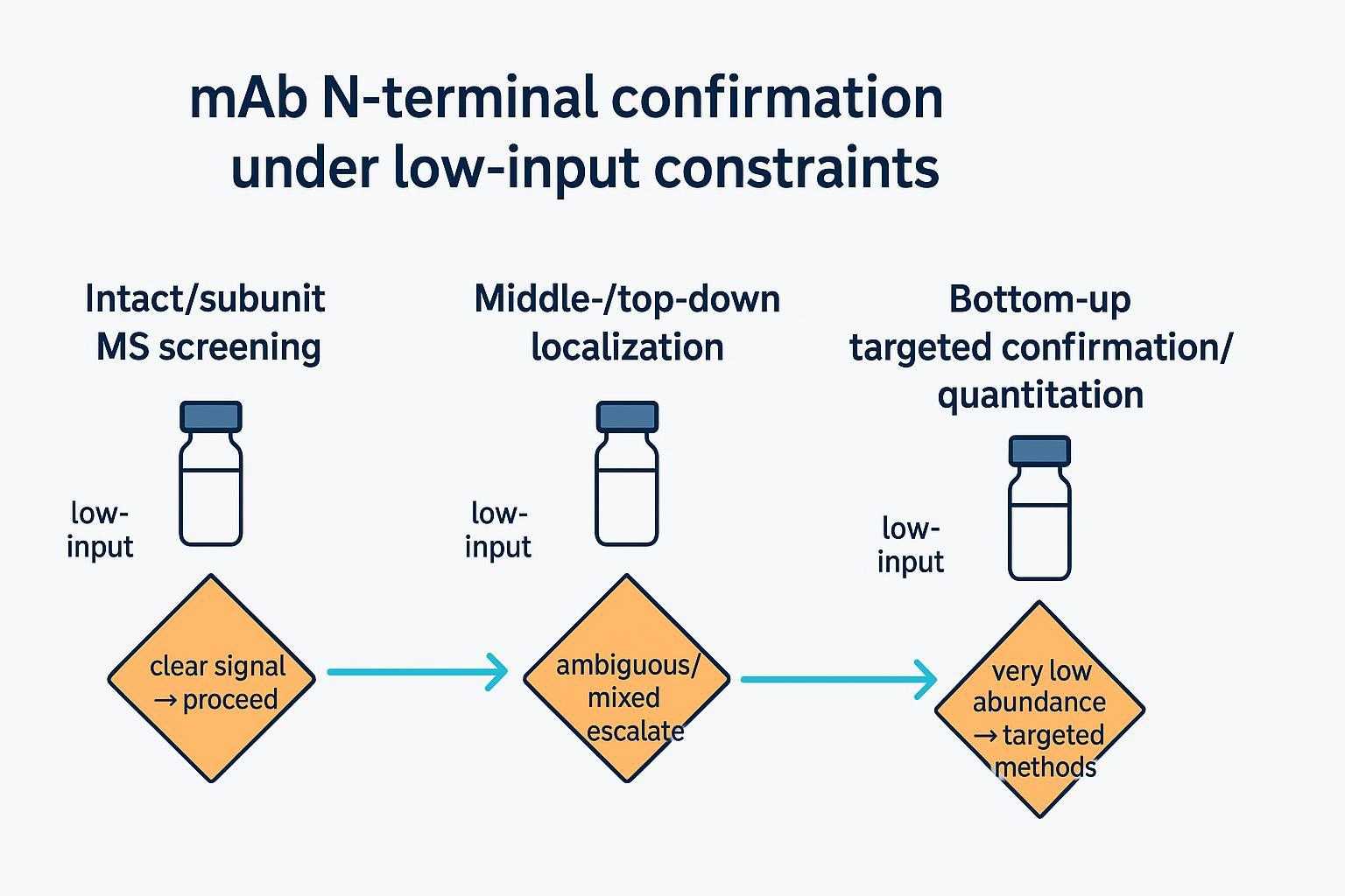 Pipeline infographic: intact/subunit MS → middle-/top-down → bottom-up with decision points and low-input notes.