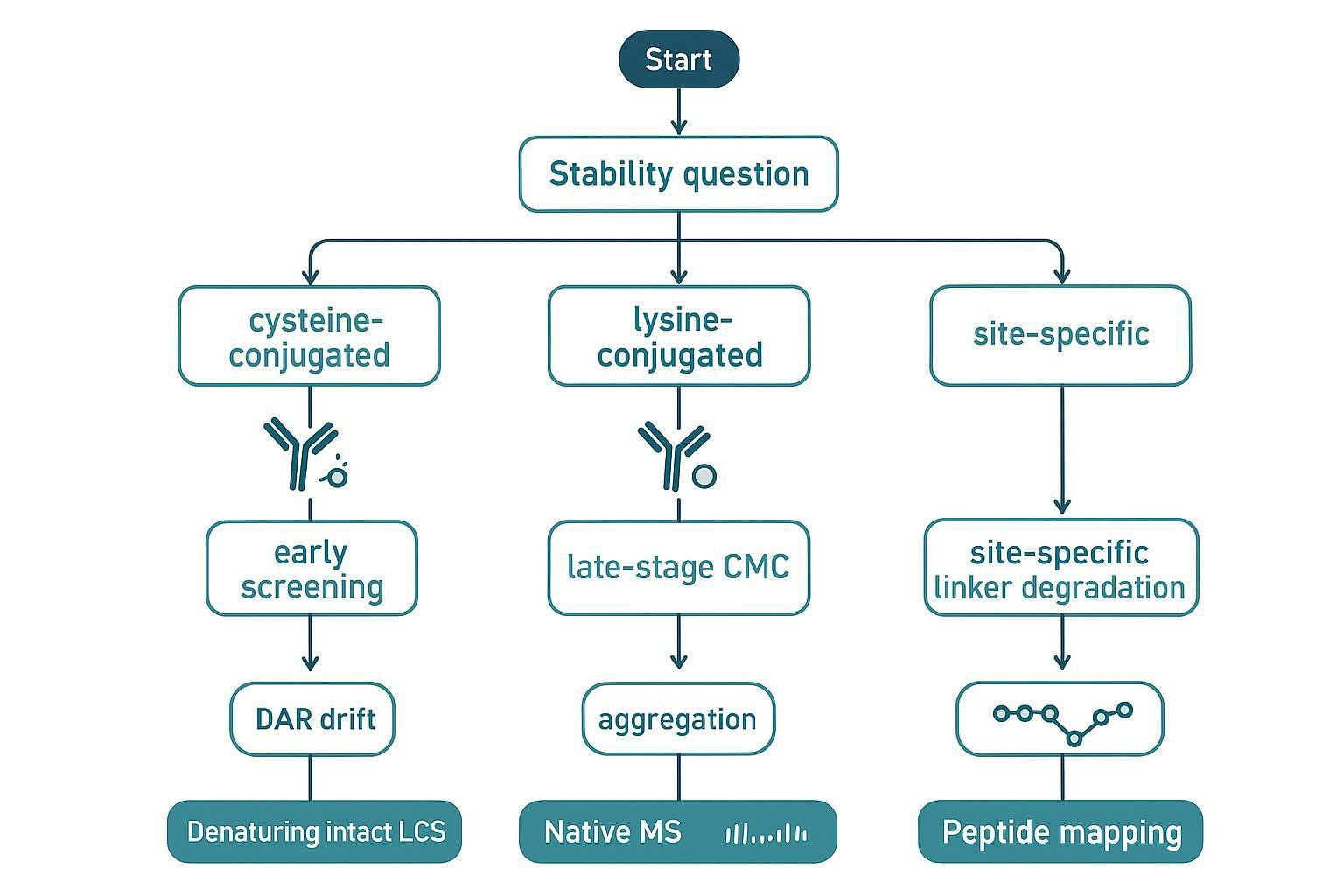 Annotated intact mass spectrum showing an ADC sample with DAR2 through DAR6 species peaks, labeled with relative abundances and indicators of deconjugation products
