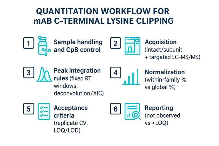 Checklist workflow for quantifying mAb C-terminal lysine clipping by LC-MS/MS and proteoform methods