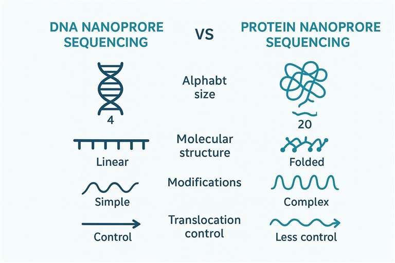 Infographic comparing DNA vs protein nanopore sequencing complexity