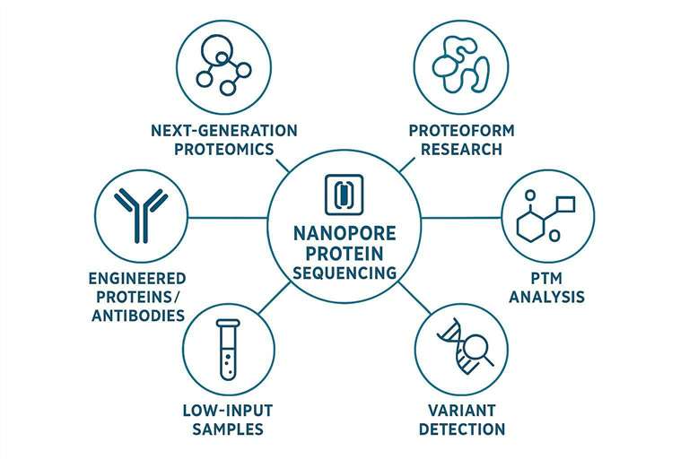 Application map summarizing key research uses of nanopore protein sequencing