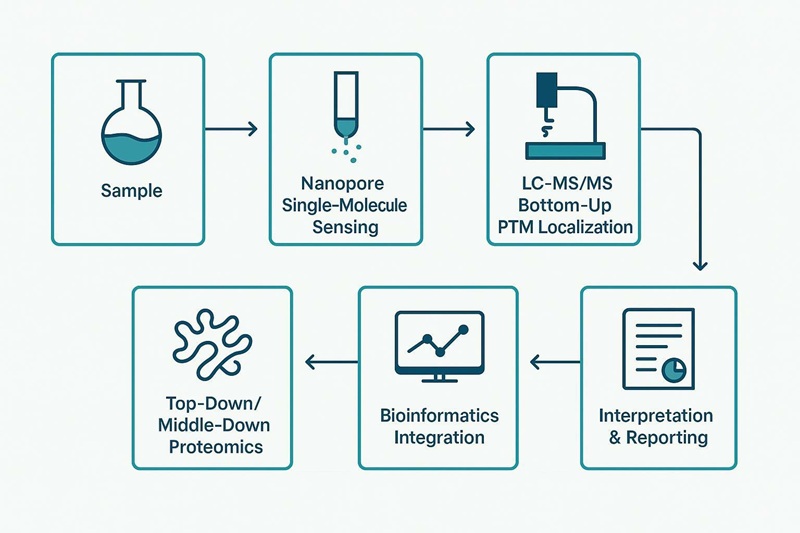 Application matrix: mapping full-length protein analysis, proteoform research, PTM detection, variant analysis, and low-input research to nanopore relevance and complementary MS-based methods