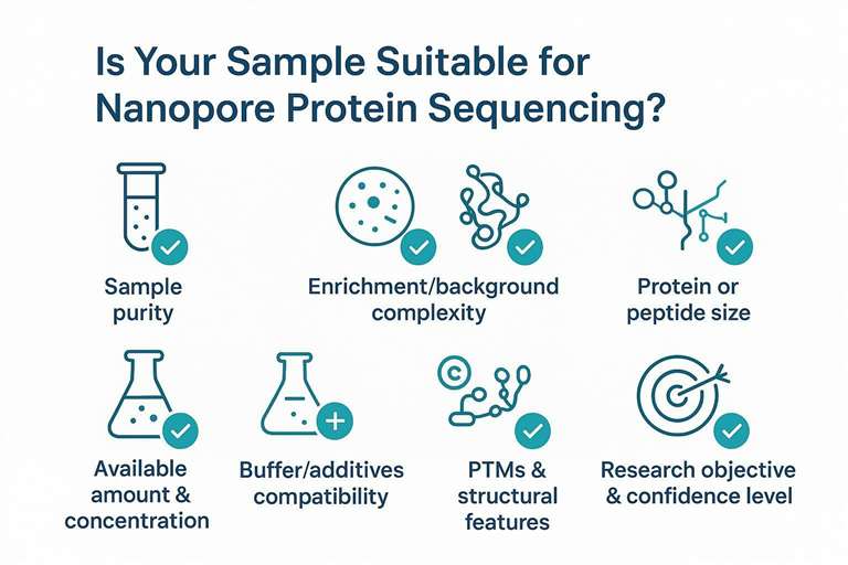 Infographic checklist of sample purity, protein size, amount, buffer compatibility, PTMs, and research objective for nanopore protein sequencing suitability