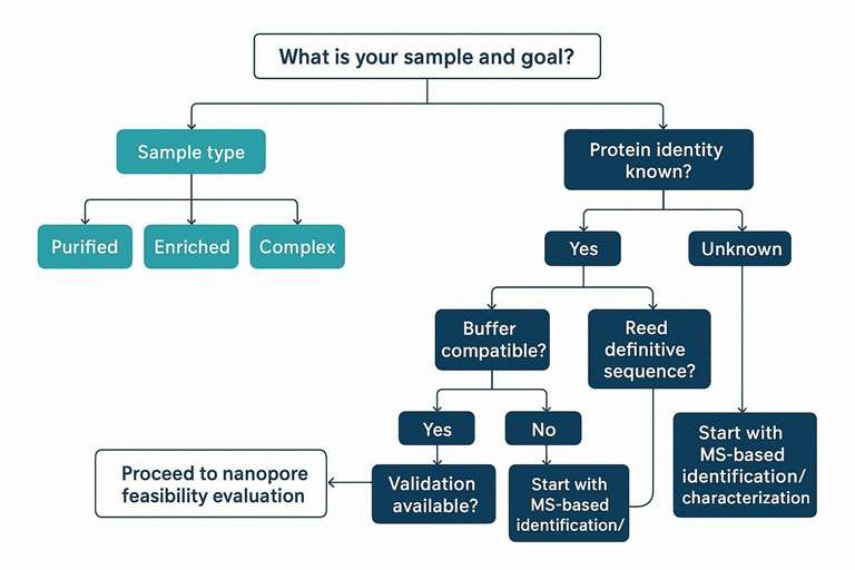 Decision tree guiding sample type, purity, objective, and validation needs for nanopore feasibility vs MS-based methods