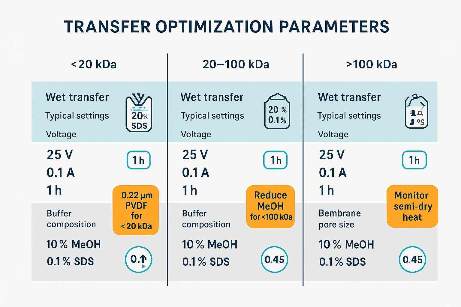 Chart linking MW ranges to wet/semi-dry transfer settings with MeOH/SDS tips and PVDF pore size guidance