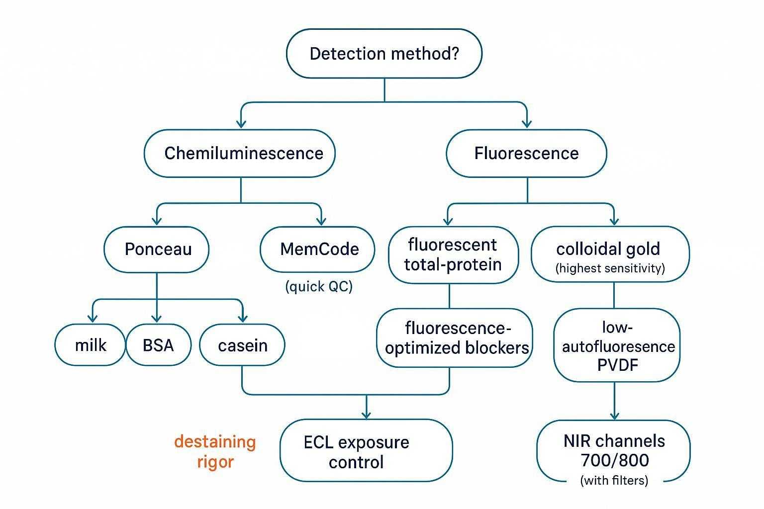 Decision tree linking stain selection to detection chemistry, blocking buffer, and imaging channel choices to minimize background