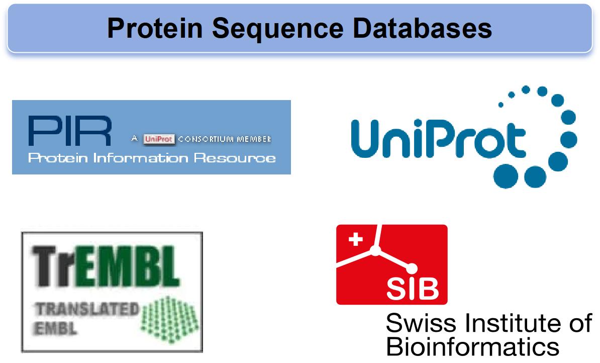 The main protein sequence database.