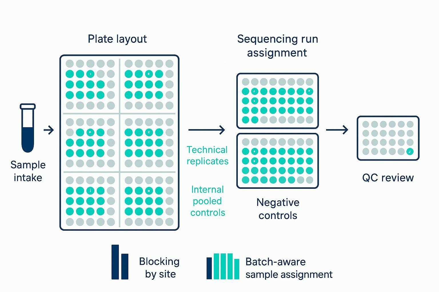 High-throughput PhIP-Seq cohort design diagram: randomized cases/controls, blocks, replicates, and QC checkpoints