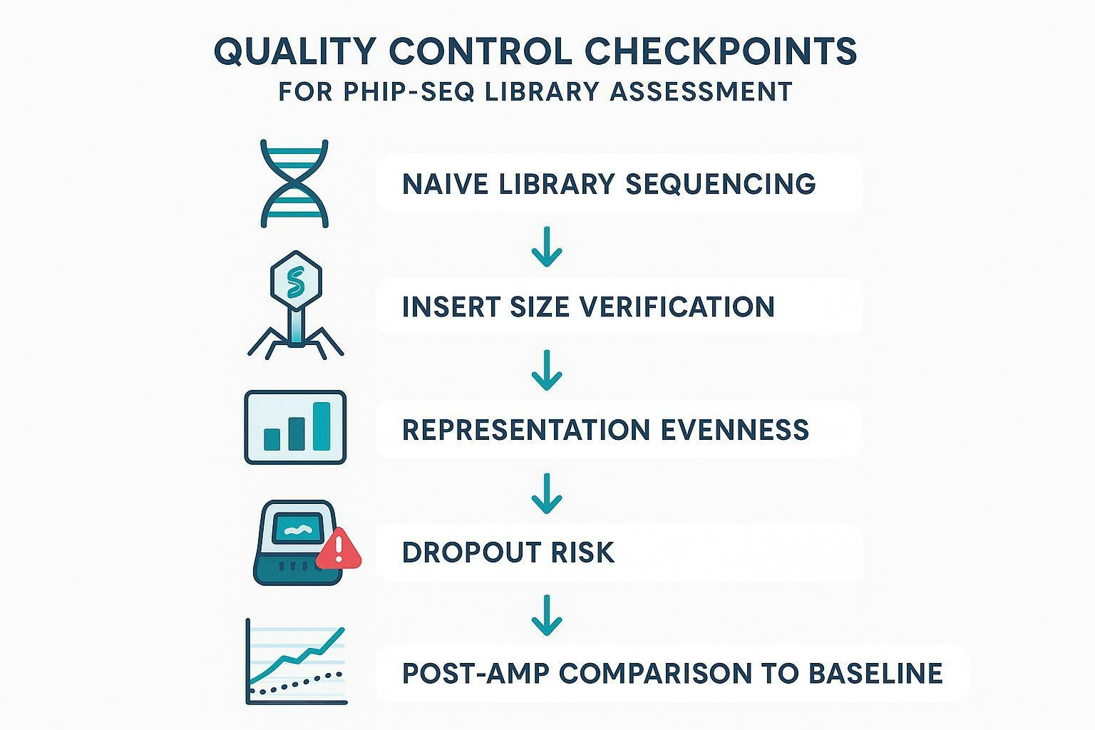 Infographic of PhIP-Seq library QC checkpoints before and after amplification showing evenness and dropout checks.