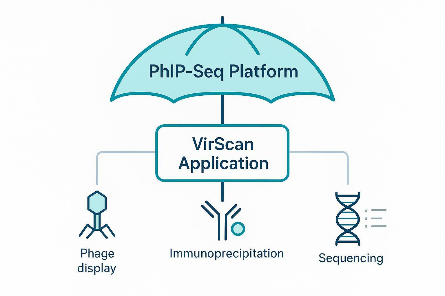 PhIP-Seq vs VirScan: What's the Difference in Viral Serology Research?