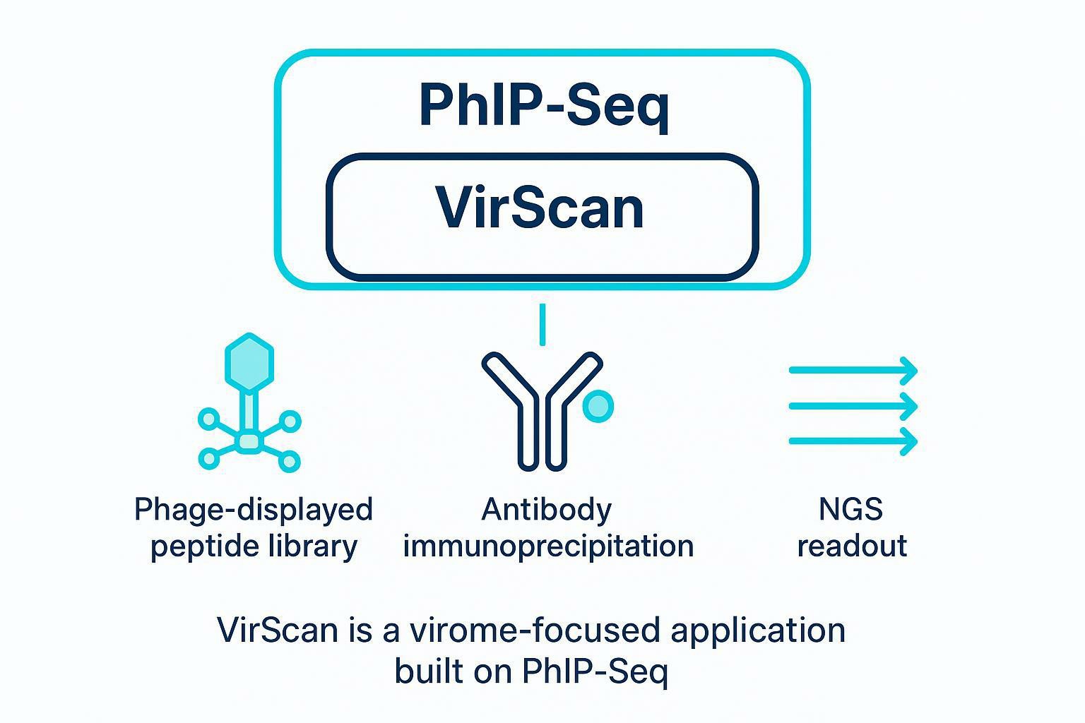 Conceptual diagram: PhIP-Seq platform umbrella with VirScan as a viral serology application within it.