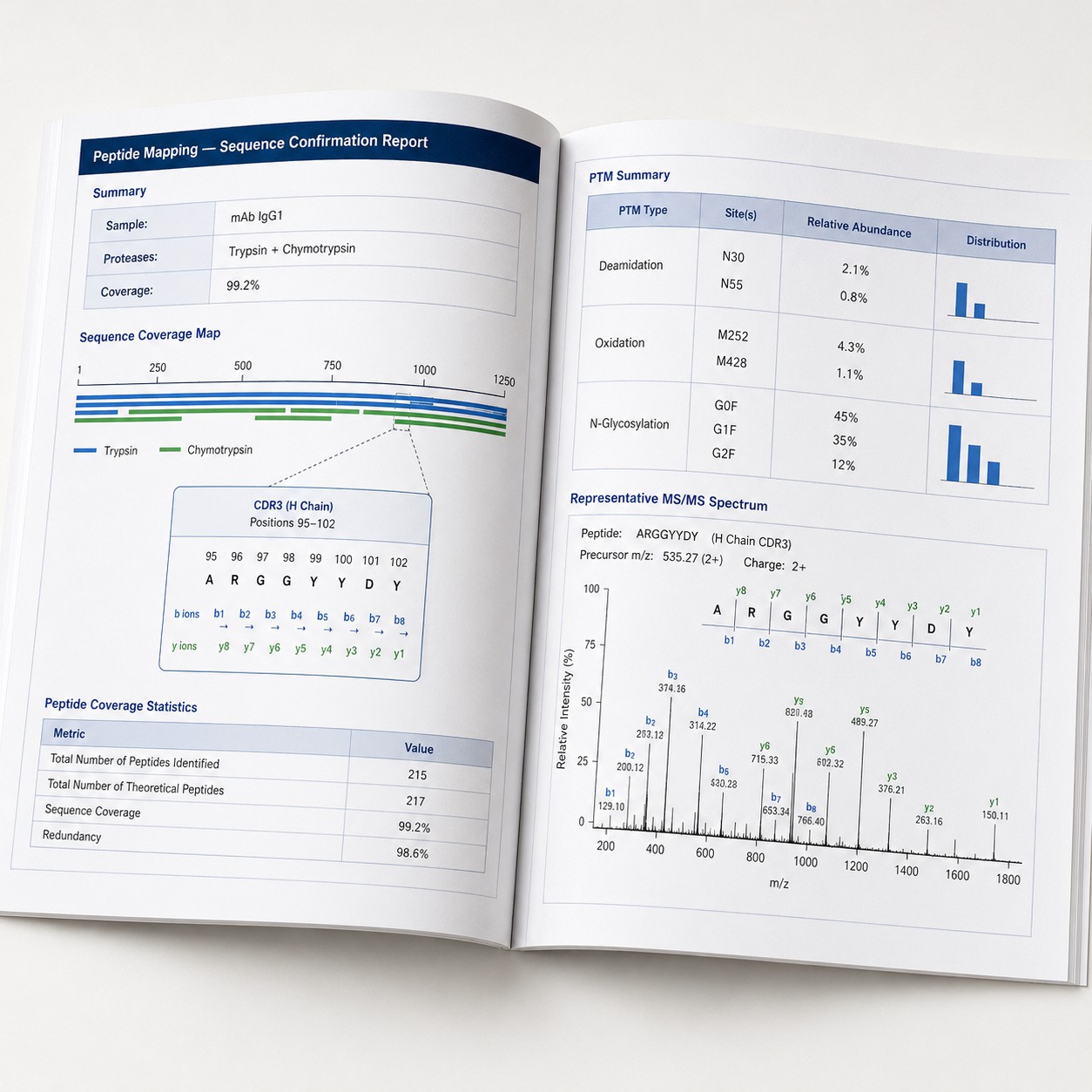 Open peptide mapping report booklet showing sequence coverage map, PTM quantification table, and annotated MS/MS spectra — ICH Q6B-ready deliverables.