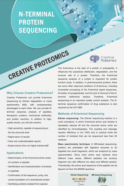 N-Terminal Protein Sequencing