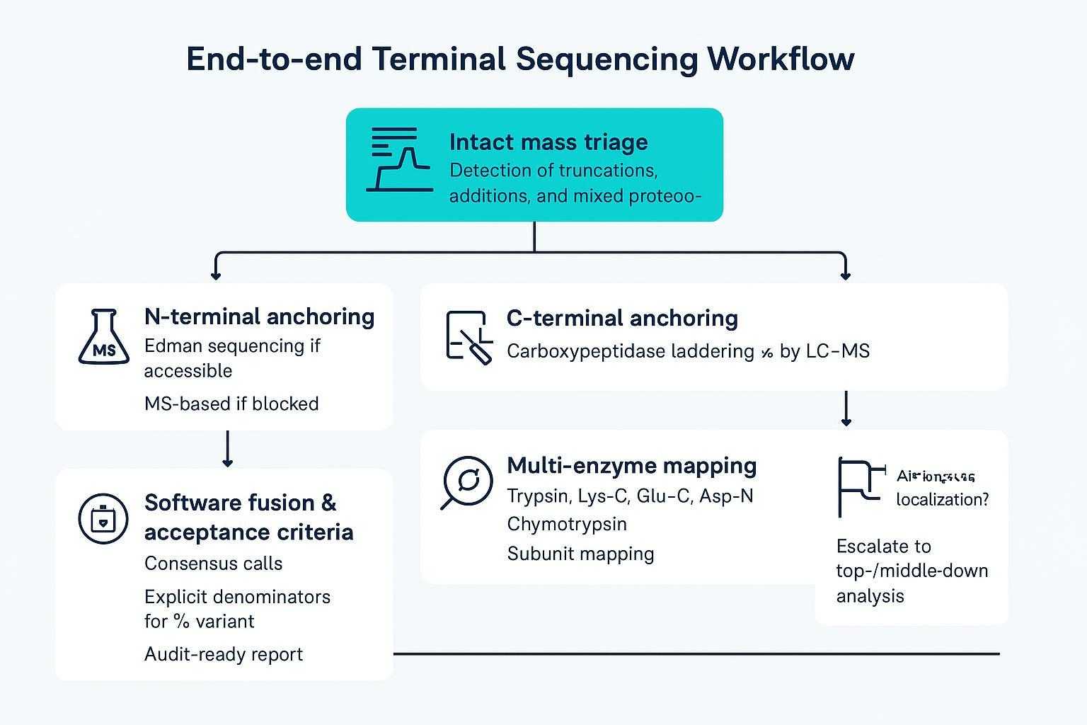 End-to-end workflow from intact mass triage to N/C anchoring, mapping, and consensus software