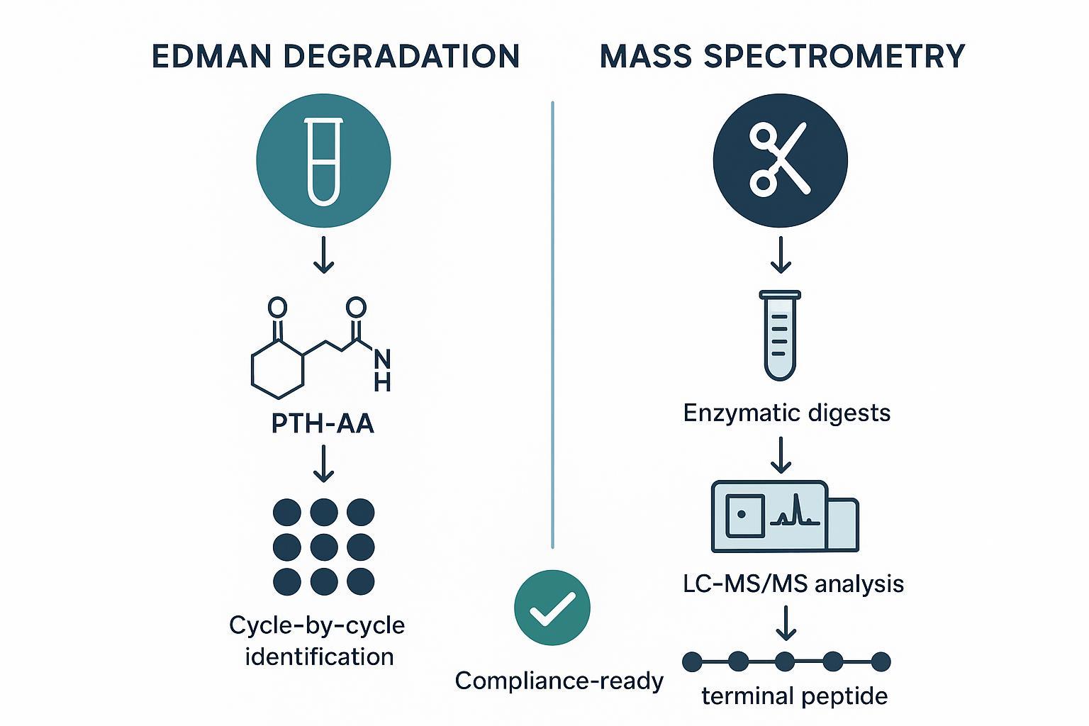 Infographic: Edman degradation and mass spectrometry work together as orthogonal methods for N-terminal sequencing compliance