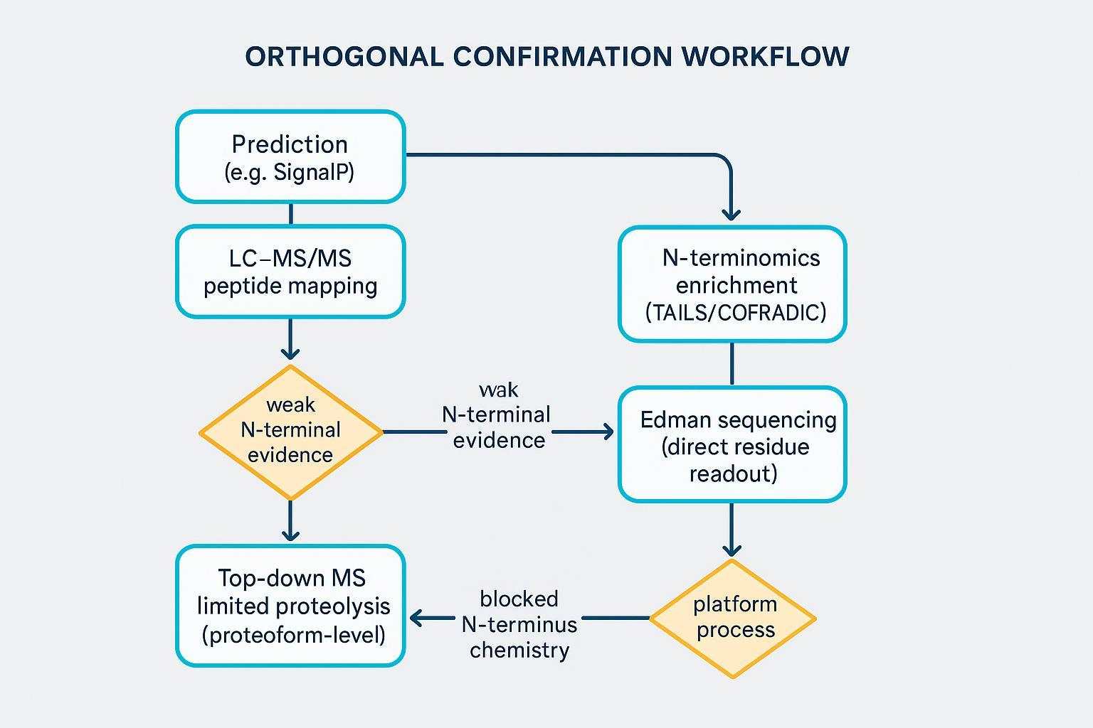 Orthogonal confirmation workflow linking prediction, mapping, enrichment, Edman, and top-down with escalation triggers