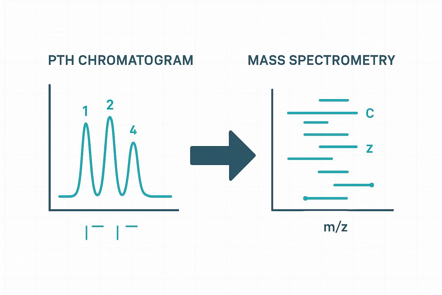 Comparison of Edman Degradation versus Mass Spectrometry for detecting blocked N-termini