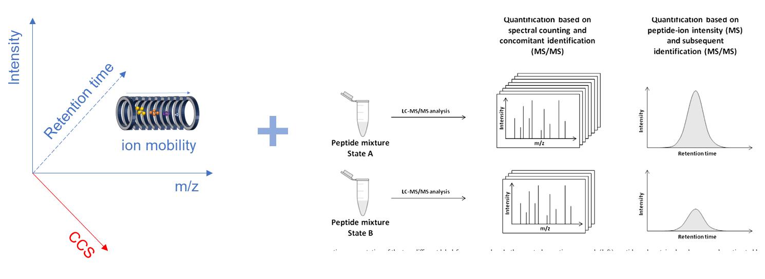 Fig. 1. Schematic of 4D label-free quantitative proteomics