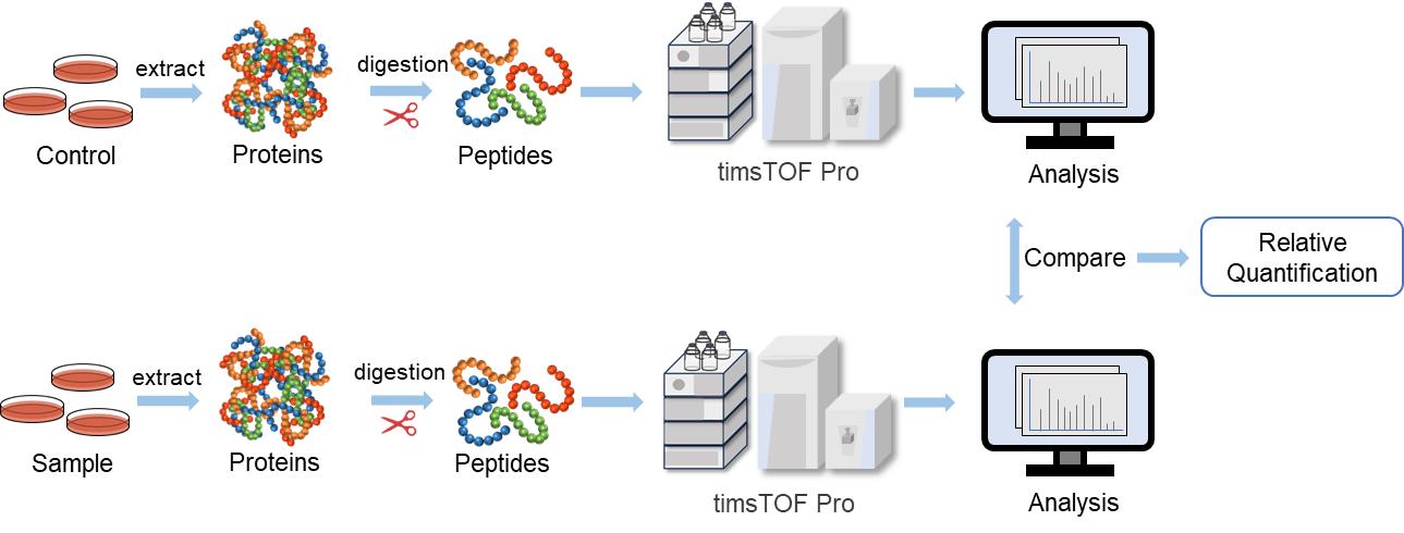 Fig. 2. 4D label-free quantitative proteomics workflow