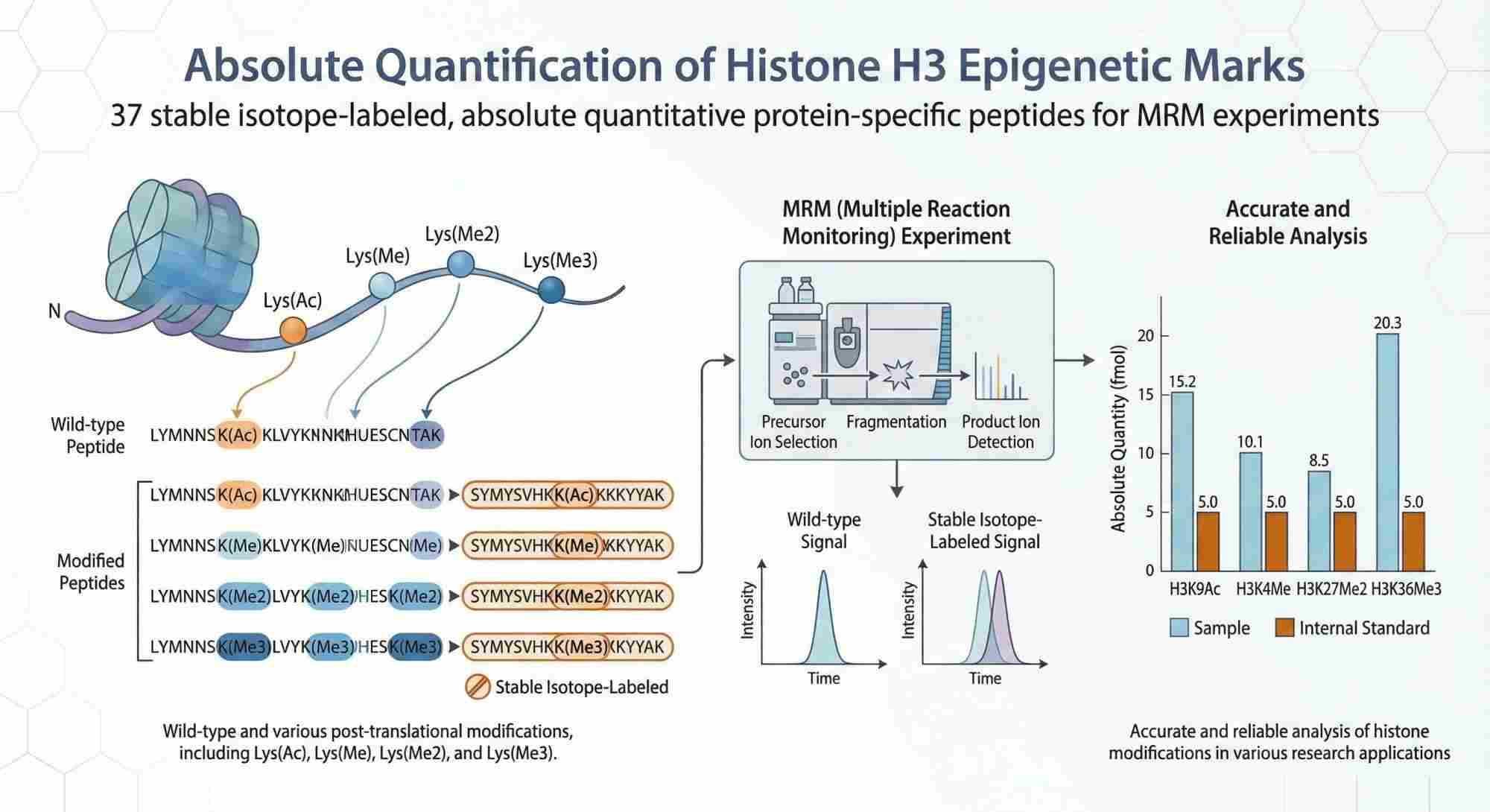 H3 absolute quantification