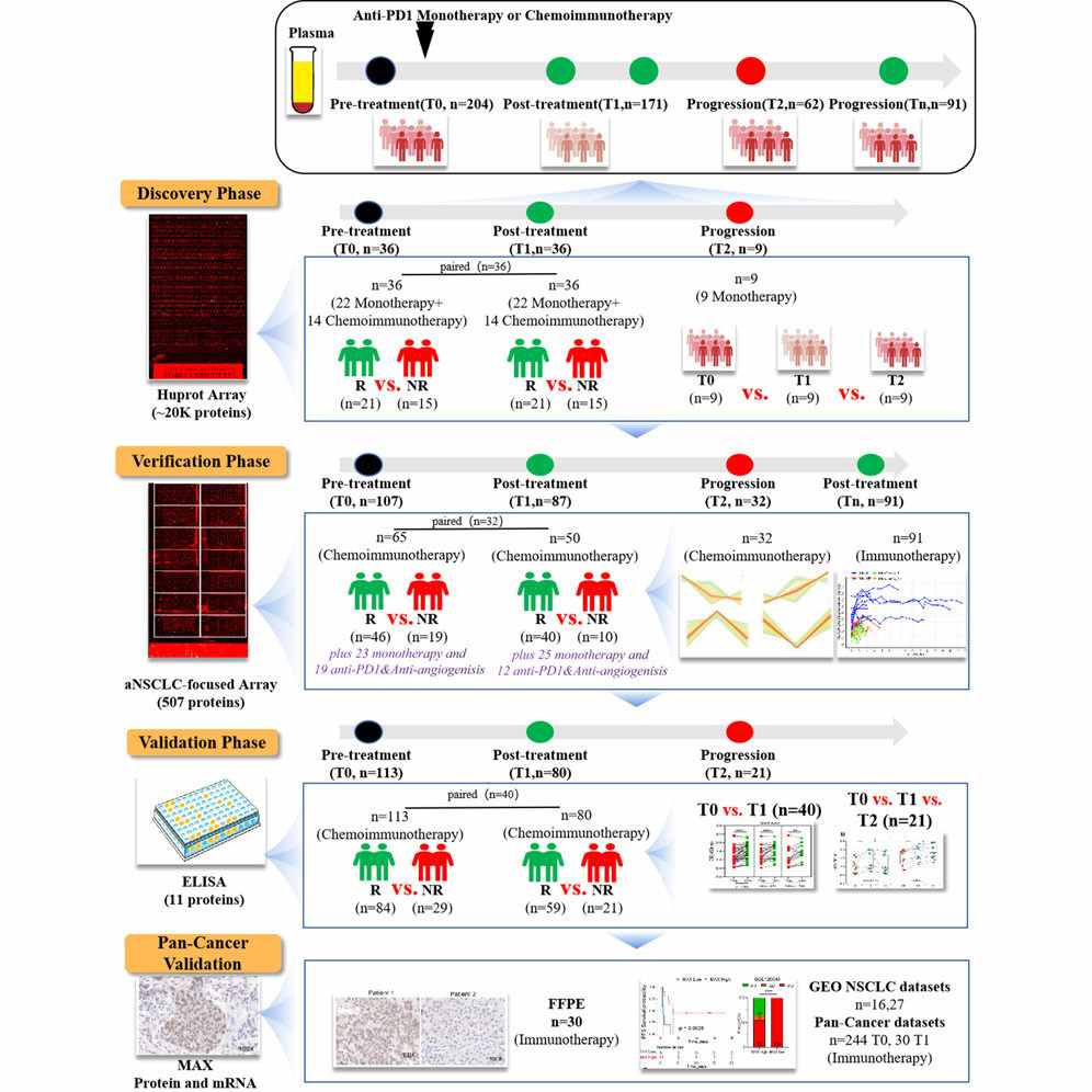 Graphical abstract for high-throughput antigen microarray.