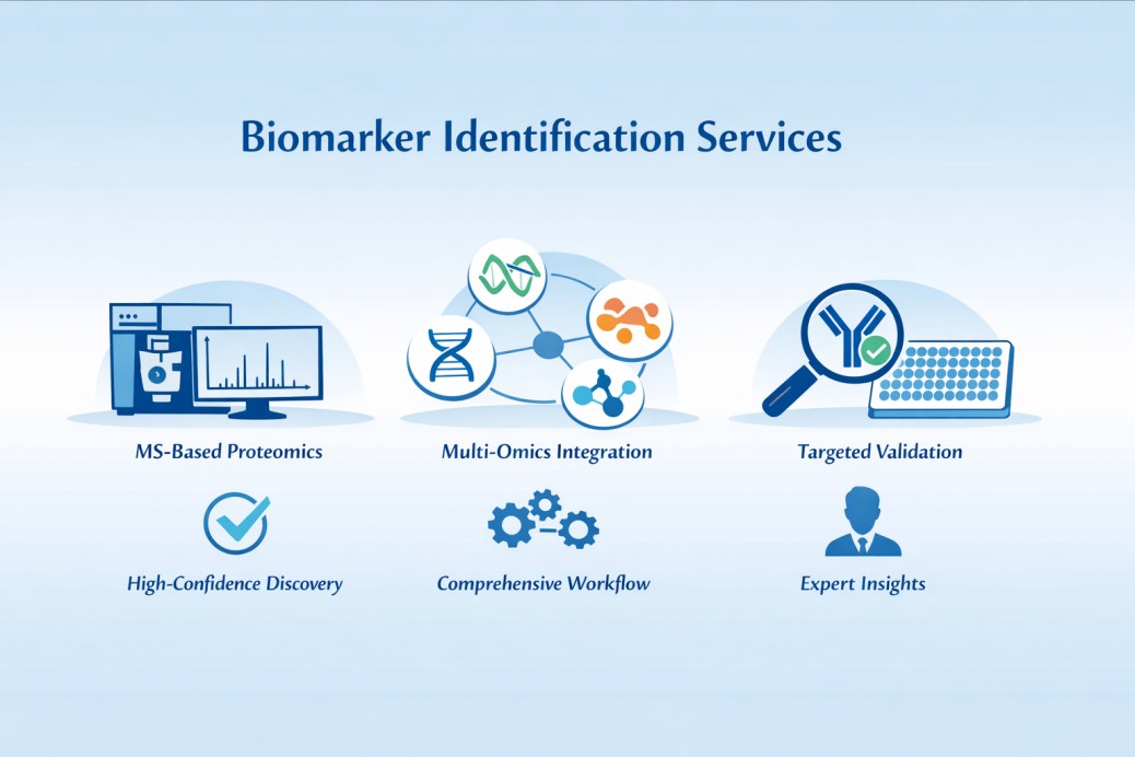 Creative Proteomics' biomarker identification service.
